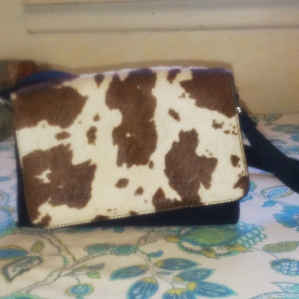 Cute Little Fur Bag from The Limited